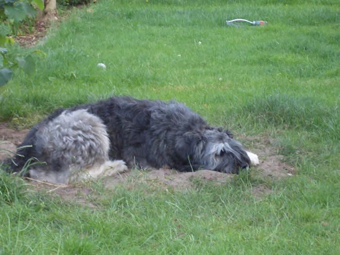 Entspannung im Garten