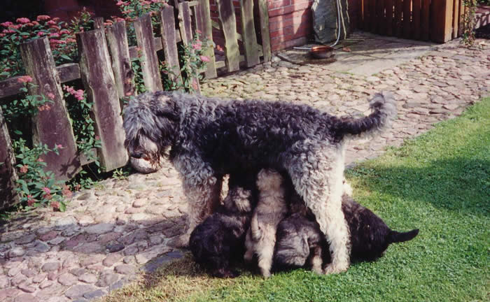 meine Mama und wir 